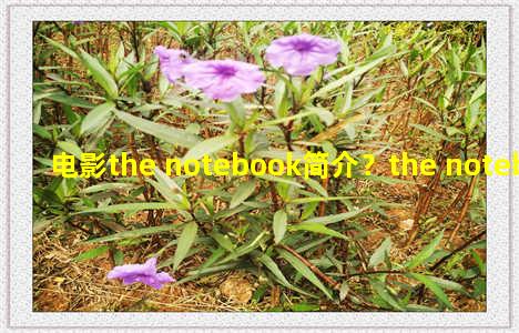 电影the notebook简介？the notebook影评